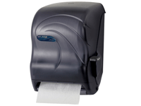 Toilet and Towel Dispenser